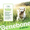 Benebone Benebone Fishbone Durable Dog Chew Toy for Aggressive Chewers,