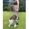 Dog Lead With Shock Absorbing Bungee Cord Training Walking Leash