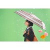 Waterfront U360-0871BR1-B0 Umbulatio Series Folding Umbrella, Handy Roof Folding, Multi-Border,