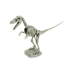 Dinosaur Excavation Kit Velociraptor Japanese Package