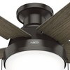 Hunter Fan 52 inch Low Profile Noble Bronze Indoor Ceiling