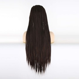 BTWTRY Dark Brown Micro Braided Synthetic Lace Front Braid Wig Heat Resistant Fiber #6 Braids Wig for Black Women African American Hair (24inch, #6)