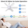 Fanspex 20.5'' Solar Rechargeable Ceiling Fan Light with Battery Backup,