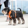 DOG Copenhagen Comfort Walk Pro 3.0 Harness, Classic Red, S