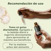 LANDA Extracto Liquido de Hongo Melena de León 30 ml