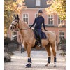 WALDHAUSEN Comfort Dressage Gaiters L Blue