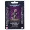 Warhammer 40k Games Workshop DeathGuard Scribbus Wretch The Tallyman 43-45