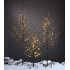 LIGHTSHARE 5Ft 200L Lighted Star Light,Warm White, Brown Branch