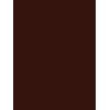 Design Master 12 oz Walnut Wood Tone Spray, Multicolor
