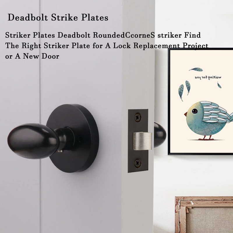 Stainless Steel Deadbolt Strike Plate Square Round Corner Backplate 1"