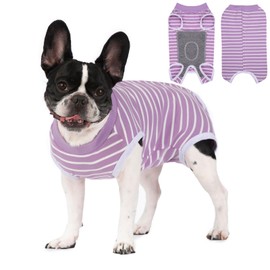Recovery Suits for Small Dogs, Dog Cat Surgery Suits Prevent Licking Double Care Abdominal Protection Onesie for Female Male (Purple, Large)