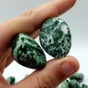 Tree Agate Natural Healing Crystal Gemstone tumbled & hand polished