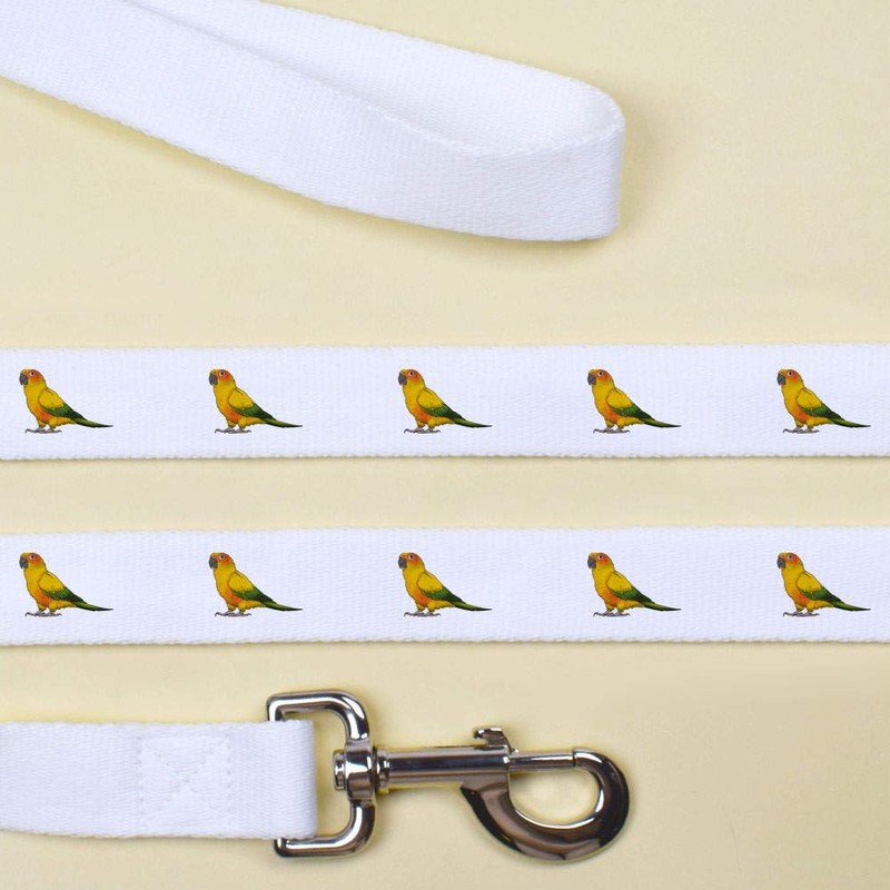 'Sun Conure Bird' Dog Lead/Leash (DL00007762)
