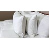 IHG Touch of Down Pillow Found in Holiday Inn Express,