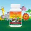 Vitamina D3 Masticable NaturesPlus 500UI Cereza Negra 90 Comp Vegano