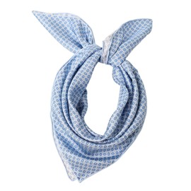 Prettystern 100% Silk Neckerchief Women Men Paisley Silk Scarf Summer Spring Silk Neckerchief, 24 blue germetry