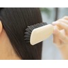 Hair Brush, Boar Bristle, Anti-Static, Natural Shiny and Shiny for