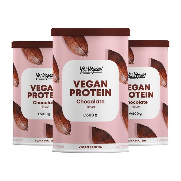 Vegan Protein Powder Choco Including Free Shaker with B2 and