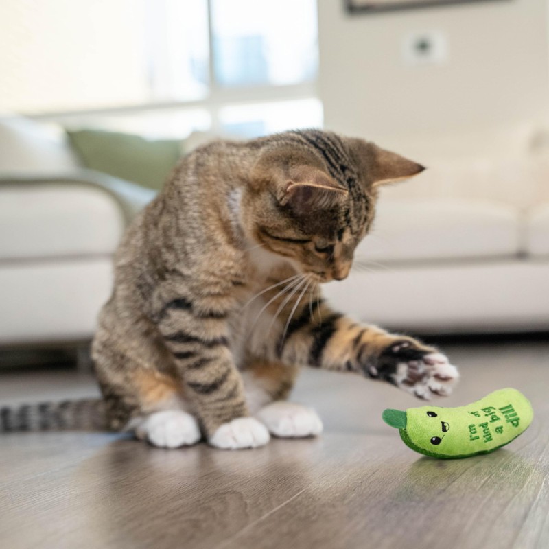 Catstages Crunchy Pickle Kicker Toy with Catnip and Dental Mesh,