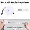 3 Pack Bearded Dragon Harness and Leash Set - Adjustable