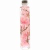 Herbarium Spring - Valhalla Gift Four Seasons Series Herbarium