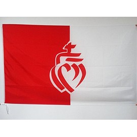 AZ FLAG French Department of The Vendée Flag 3' x 5' for a Pole - France - Vendée Flags 90 x 150 cm - Banner 3x5 ft with Hole