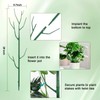 Qaobo 10 Pack Stackable Plant Support Stakes, Climbing Plant Support