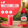 Syruvia Watermelon Syrup – Watermelon Syrup Flavor, 25.4 fl oz