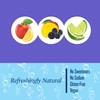 Polar Seltzer Water Newbies Variety Pack, 12 fl oz cans,