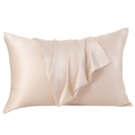 SheRest Queen Satin Pillowcase for Hair and Skin, Soft and Breathable Similar to Silk Pillow Cases for Sleepers, Luxurious Gift for Women Men, Set of 2 with Zipper(20"x 30", Champagne)