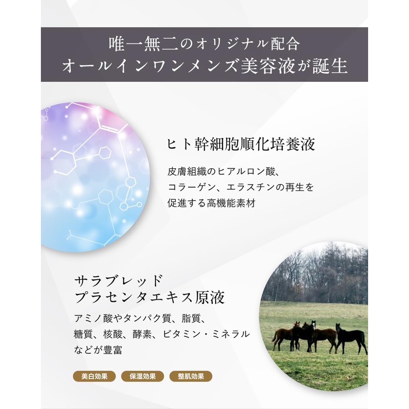 プラモイスト For Men トータルワークアウト監修 オールインワンジェル 60g 男性用 スキンケア 保湿 アフターシェーブ