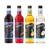 DaVinci Gourmet Sugar Free Syrup, Fruit Flavors Variety Pack -