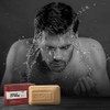 Metrey Herbotech WILD ST0NE Musk Deodorant Soap for Men, Pack