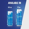 Red Bull Summer Edition Juneberry 8.4 fl. oz. (Pack of