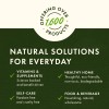 Swanson Herbal Supplements Boswellia 400 mg Capsule 100ct
