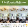 SZXYKEJI 6-Lights Glass Globe Chandelier Modern Flush Mount Ceiling Light