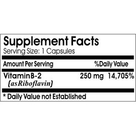 B-2 Vitamin 250mg ~ 100 Capsules - No Additives ~ Naturetition Supplements