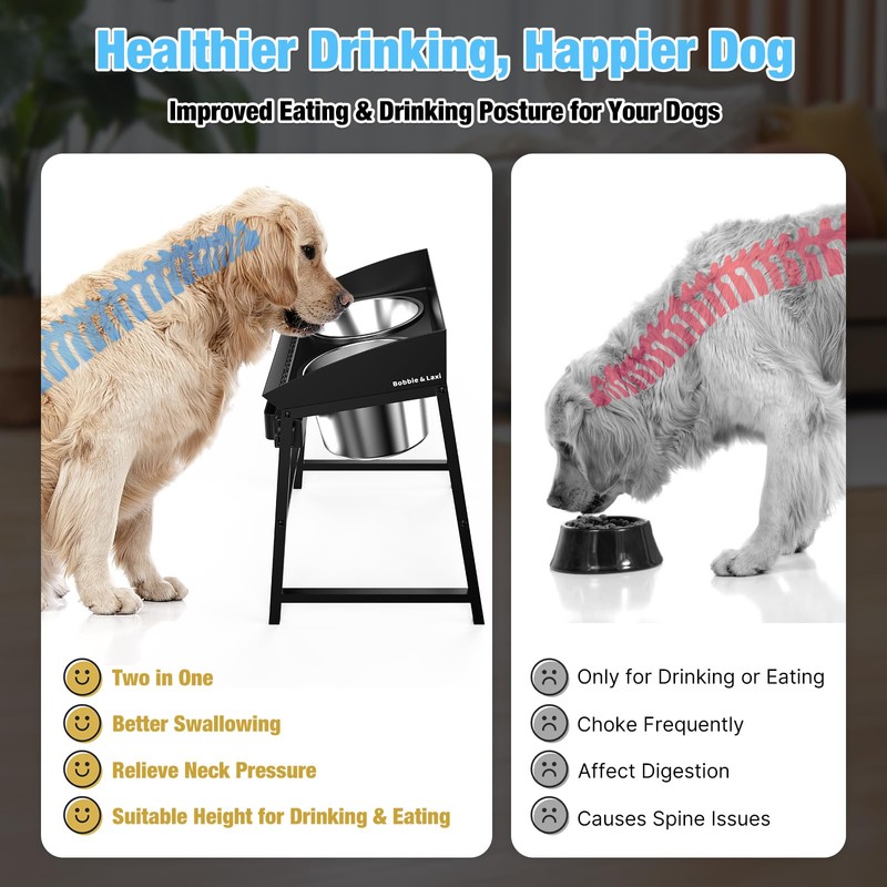 Bobbie & Laxi 15" Tilted Elevated Dog Bowl, Spill-Proof with