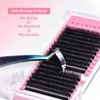 Kashinfuu Eyelash Extensions 0.07mm Thickness C Curl Length 12mm Premium