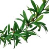 1Pc Greenery Vine Artificial Greenery Garland Vine for Wedding Parties