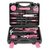 Auto Dynasty Tool Kit for Home 46-Pieces, Basic Household Hand Tool Sets with Screwdrivers Combination Tools, All in One Plastic Toolbox Storage Case for College Dorm, Office, Auto Repair (Pink)