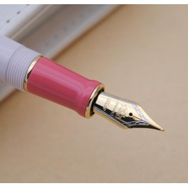 JINHAO 100 Fountain Pen with Ink Converter (Medium Nib 0.7mm, Guava)