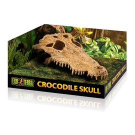Exo Terra Terrarium Decor Croc Skull_LQ