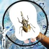 3D Metal Puzzles, Steampunk Bug Sculpture Hercules Beetle Mechanical Insects