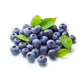 FruitCeuticals Organic Blueberry Powder Made with 100% Whole Fruit Wild Blueberries - 8oz Pouch (90 Day Supply)