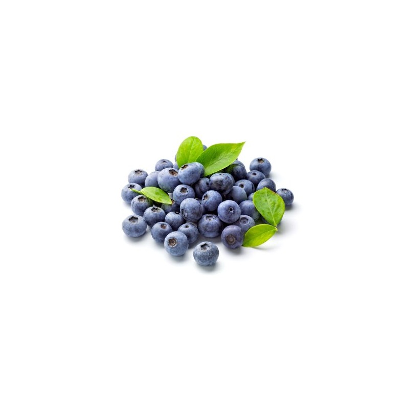 FruitCeuticals Organic Blueberry Powder Made with 100% Whole Fruit Wild