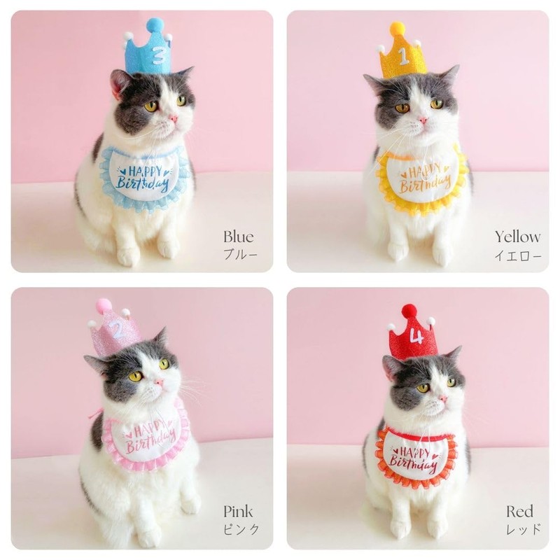 Dog, Birthday, Hat, Headwear, 3-Piece Set, Includes Numbers, Cat Birthday