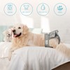 Avont 3 Pcs Female Dog Manor Belt Washable Reusable High