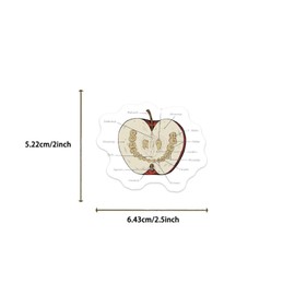 50Pcs Human Body Organs Anatomy Stickers, Human Anatomy Medical Nurse Decals, Body Part Medical Nurse Stickers, Gifts for Women & Men (Organs)