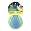 Fancy Pets Pelota Fetch Sport Color Azul para Perro